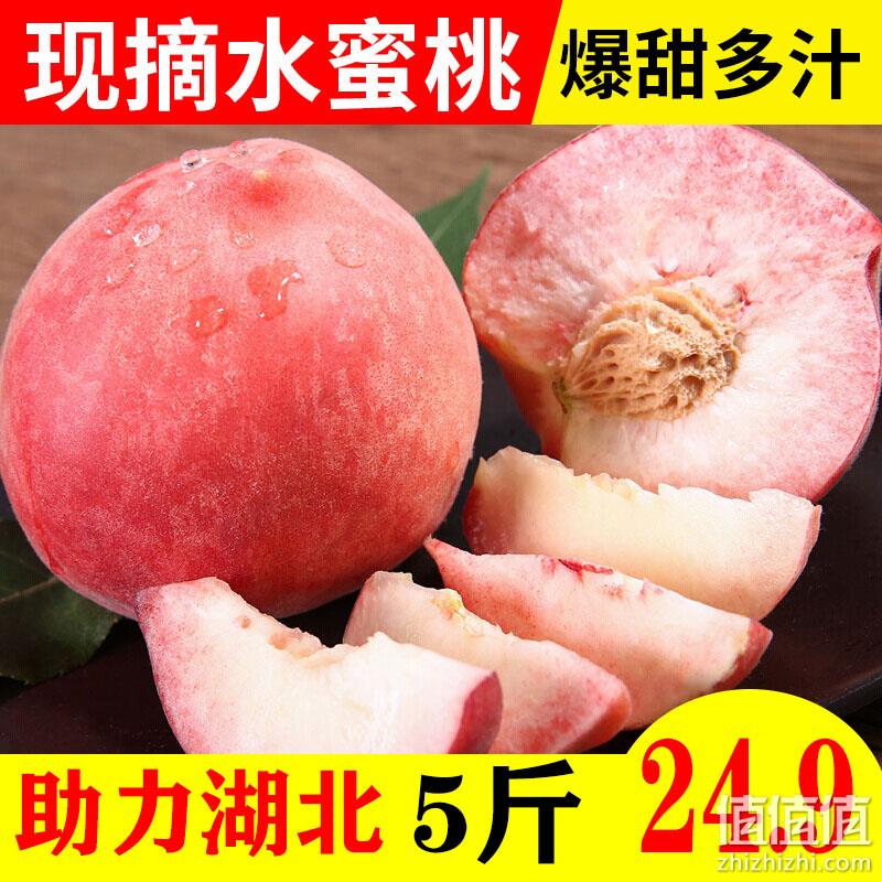 应季现摘 净重5斤，叼果果 湖北襄阳水蜜桃 券后19.9元包邮 6月1日陆续发货 值值值-买手聚集的地方