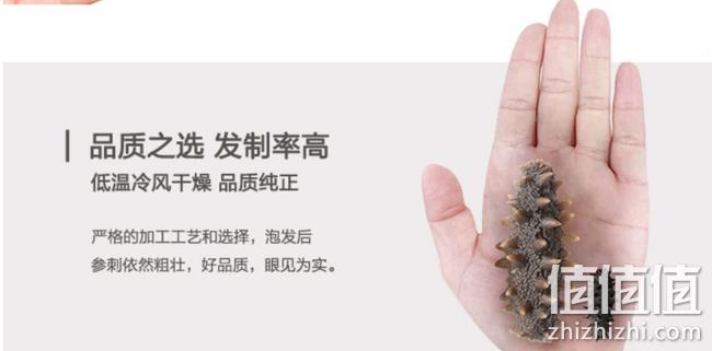 淡干工艺：薛阿姨 大连干海参 100g（约24-30只） 671元（折合6.7元/g） 值值值-买手聚集的地方