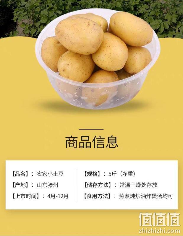 地理标志产品，山东滕州现挖，高淀粉：净重5斤 滕州马铃薯 带泥土豆 券后12.5元起包邮 值值值-买手聚集的地方