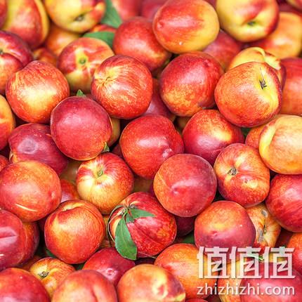 3红旗舰店发货：果美语 湖北随州黄心油桃 5斤 15.9元包邮 值值值-买手聚集的地方