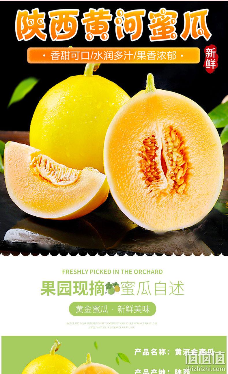 苹果星球 新鲜陕西黄河蜜瓜 净重5斤 券后15.8元 值值值-买手聚集的地方