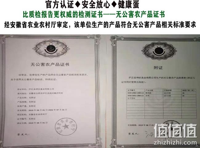 省农村厅背书 线下约1元/个：巴根草 开窝初生鸡蛋 40枚 券后24.8元包邮，折0.6元/枚 破损包赔 值值值-买手聚集的地方