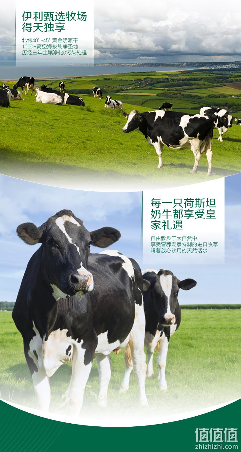 61预售：优质乳蛋白≥3.6%，伊利 金典纯牛奶 250mlx12盒x2箱 90元（折合3.75元/盒） 值值值-买手聚集的地方