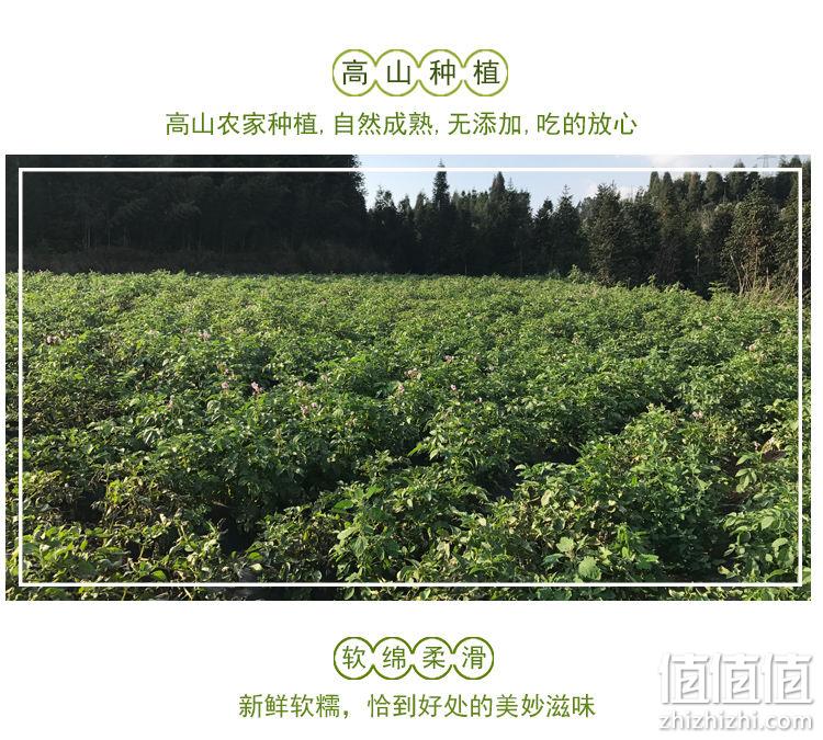 日照时间长、粉香软糯：带箱10斤 陆鲜生 云南土豆 券后8.8元包邮 值值值-买手聚集的地方