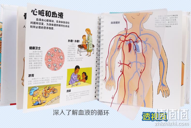 少儿读物4月销冠 精装版《乐乐趣翻翻书：我们的身体》3D立体书 券后59元包邮 值值值-买手聚集的地方