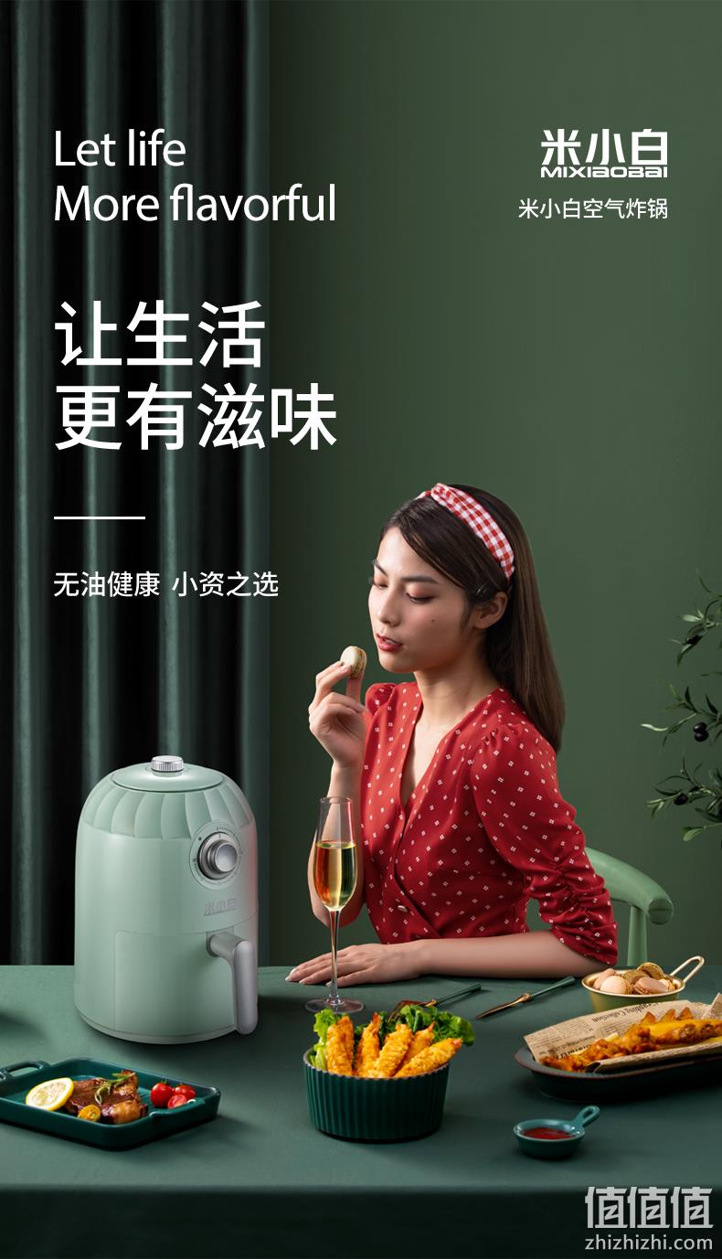 不足百元抄底价，低脂无油烹炸：米小白 家用空气炸锅 2L 立减+券后99元 值值值-买手聚集的地方