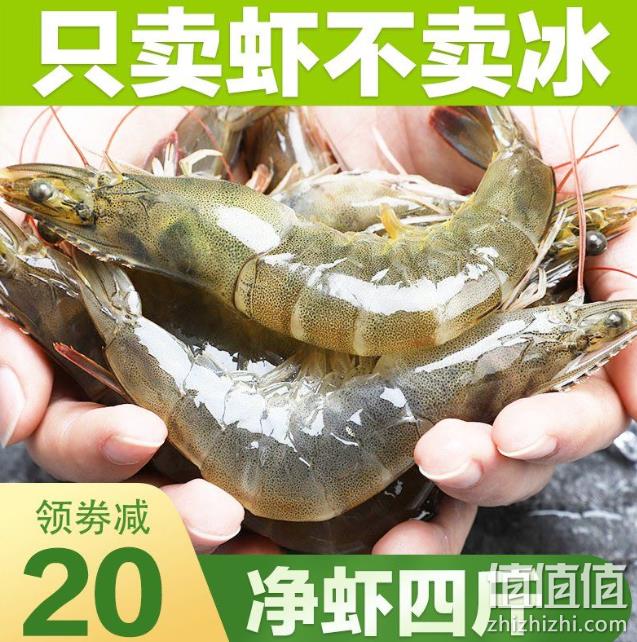 冷链运输、少冰、净2.8-3.2斤: 海捕大虾 券好64元包邮 值值值-买手聚集的地方