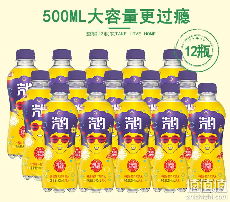 4.9分，0糖0脂0卡：栗子园 汽约 果味气泡苏打水 500mlx12瓶 券后29.9元包邮 值值值-买手聚集的地方