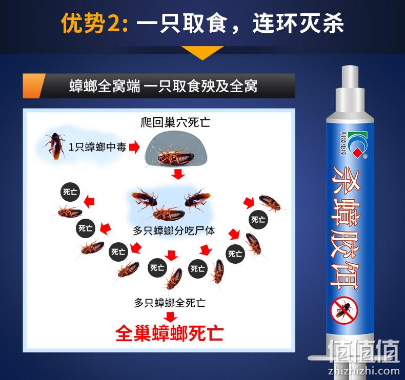 科凌虫控 家用强力灭蟑螂药 10gx3支+胶饵 6gx2 拍2件券后19.2元包邮 值值值-买手聚集的地方