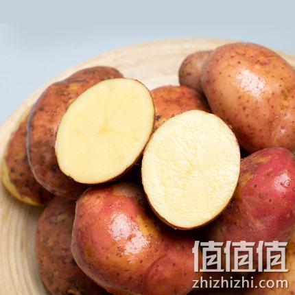 SHANSHIYUAN 善食源 云南红皮土豆 5斤 14.9元包邮 值值值-买手聚集的地方