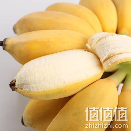 现割现发，欢森 广西新鲜小米蕉 10斤 21.8元包邮 值值值-买手聚集的地方