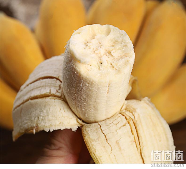 现割现发，欢森 广西新鲜小米蕉 10斤 21.8元包邮 值值值-买手聚集的地方