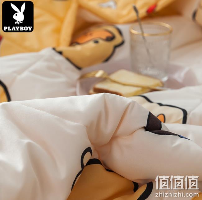 AB面撞色:PLAYBOY 花花公子 纳米印染水洗棉夏被 100x150cm 29元包邮 值值值-买手聚集的地方