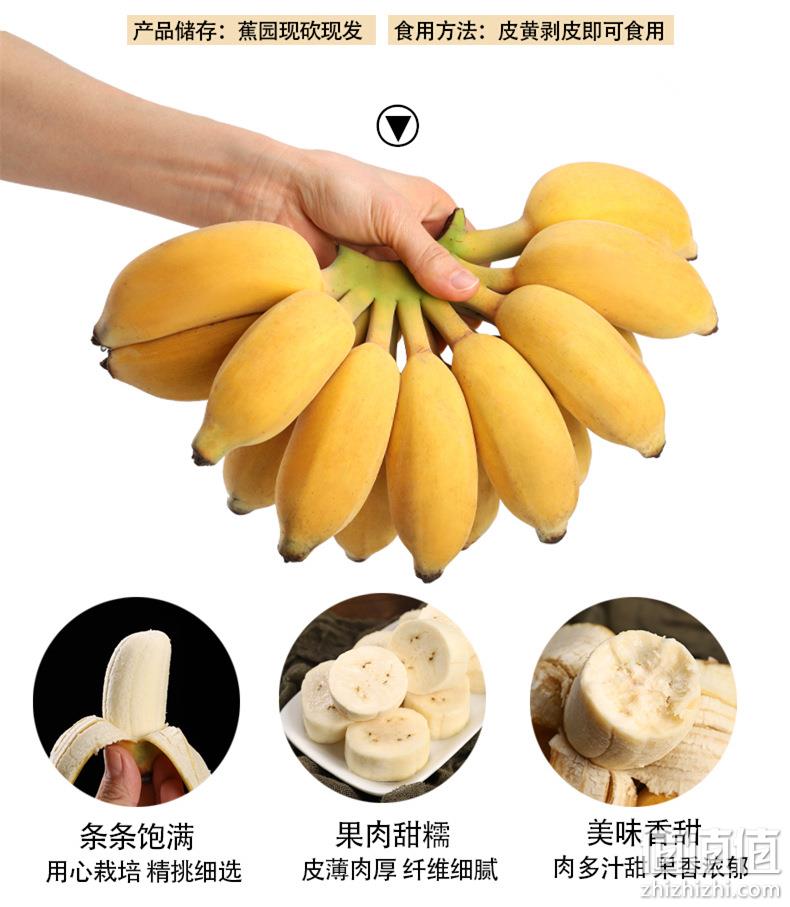 现割现发，欢森 广西新鲜小米蕉 10斤 21.8元包邮 值值值-买手聚集的地方