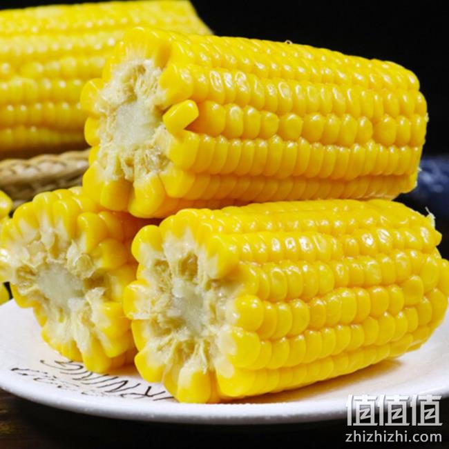 晋村 东北糯玉米棒子 10根装 19.89元 值值值-买手聚集的地方