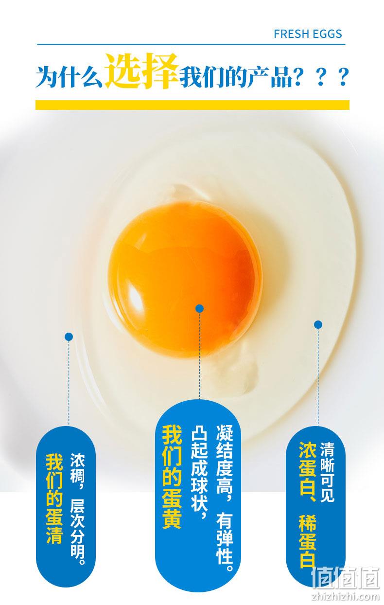 A级无菌鲜鸡蛋、可生吃拌饭: 40枚 鸡仔总动员 当天产生鸡蛋 32.9元包邮(上次35.9元) 值值值-买手聚集的地方