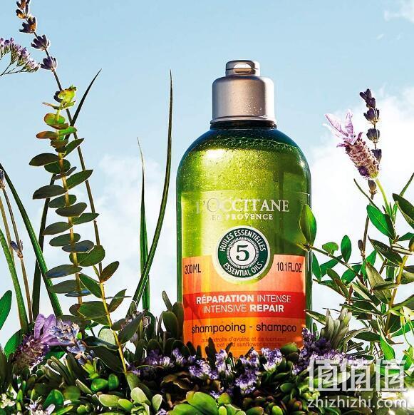 L'OCCITANE 欧舒丹 草本5合1精华修护洗发露 300ml 163.84元包邮 值值值-买手聚集的地方