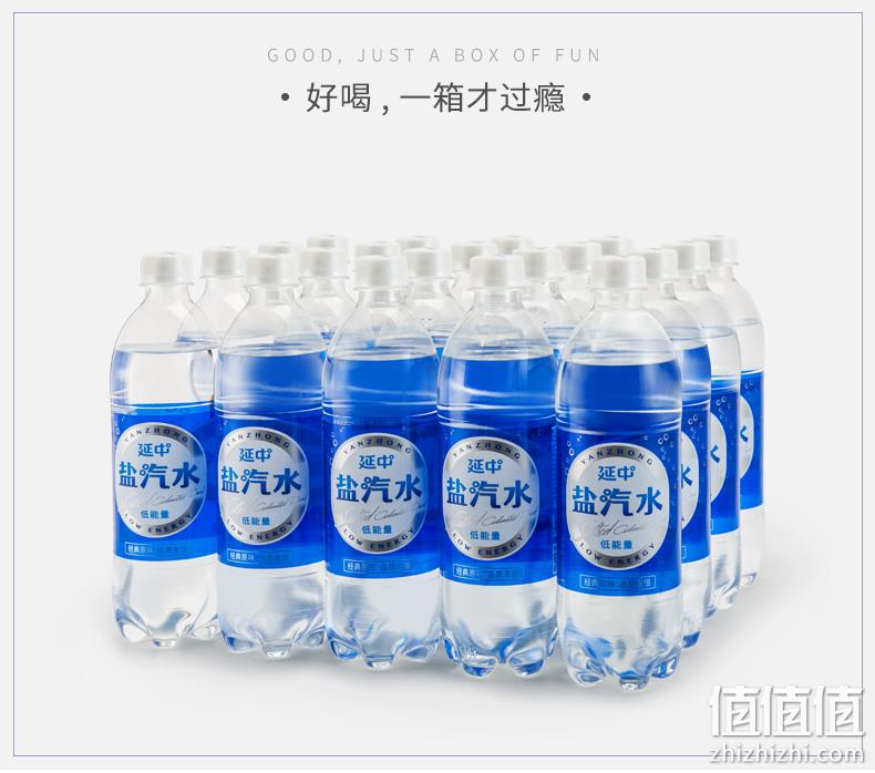 24斤送上门！上海老牌，延中 经典 盐汽水 600mlx20瓶 43.9元包邮 值值值-买手聚集的地方
