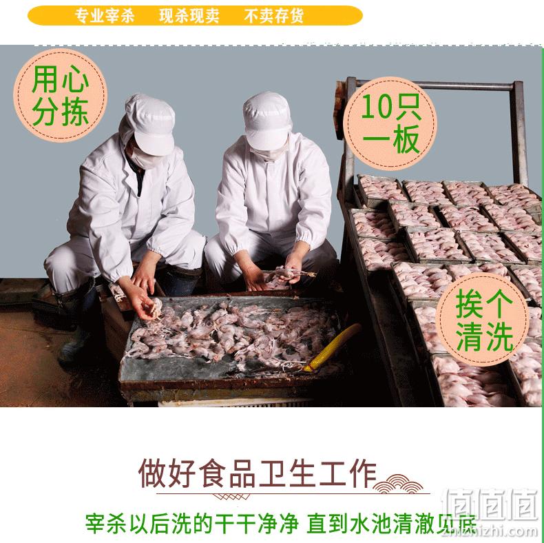 全部正规检测、2.7-2.8两/只：10只，农倍鲜 现杀 大号母鹌鹑 券后33.8元包邮，2件60.6元 值值值-买手聚集的地方