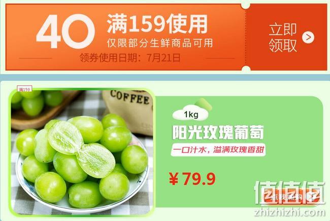 京东 消夏清凉节 生鲜果蔬产品促销 满199-100元优惠券，满159-40元优惠券 值值值-买手聚集的地方