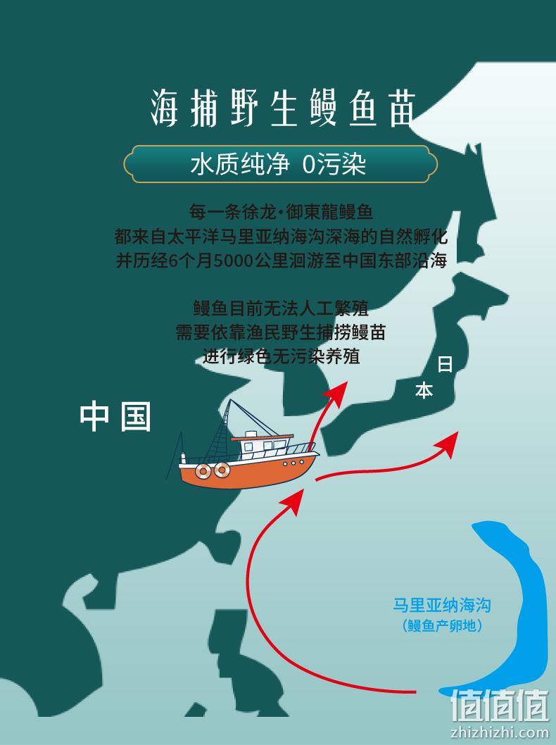 源头工厂、出口名牌：135gx3件 徐龙御東龍 日式蒲烧烤鳗鱼 券后74.7元包邮 值值值-买手聚集的地方