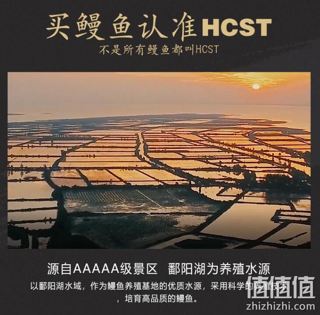 薇娅推荐，500g HCST日式蒲烧鳗鱼 券后78元包邮顺丰（线下1碗鳗鱼饭40元+） 值值值-买手聚集的地方
