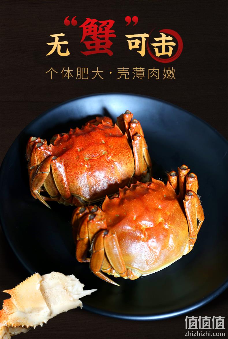 阳澄湖副会长单位！珍澄 阳澄湖 鲜活六月黄大闸蟹 2.5两 券后68元包邮 值值值-买手聚集的地方