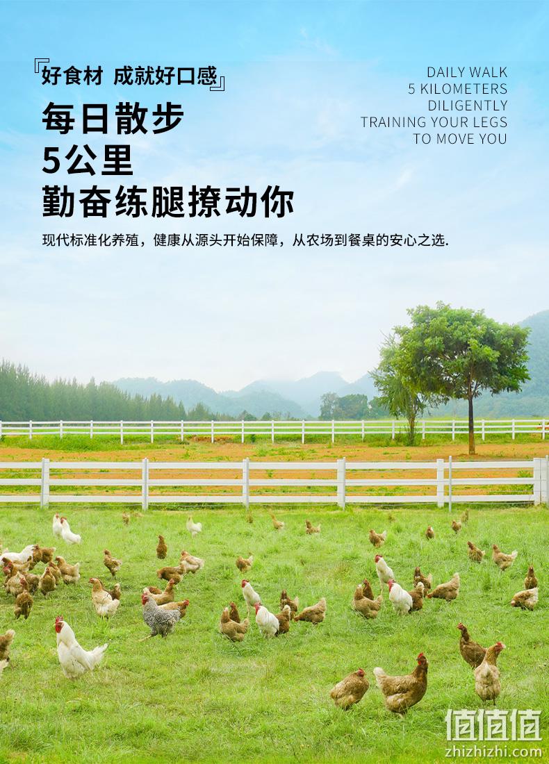 牛味小站 冷冻鸡中鸡+翅根组合 4斤 券后108元包顺丰冷链 值值值-买手聚集的地方