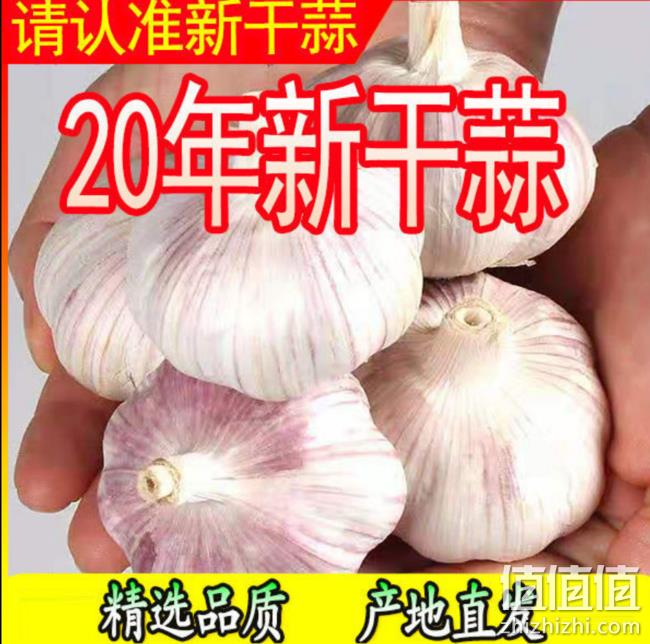 去水30%的活干蒜，遇水可发芽养殖：干蒜+活蒜 2斤 8.9元起包邮 值值值-买手聚集的地方