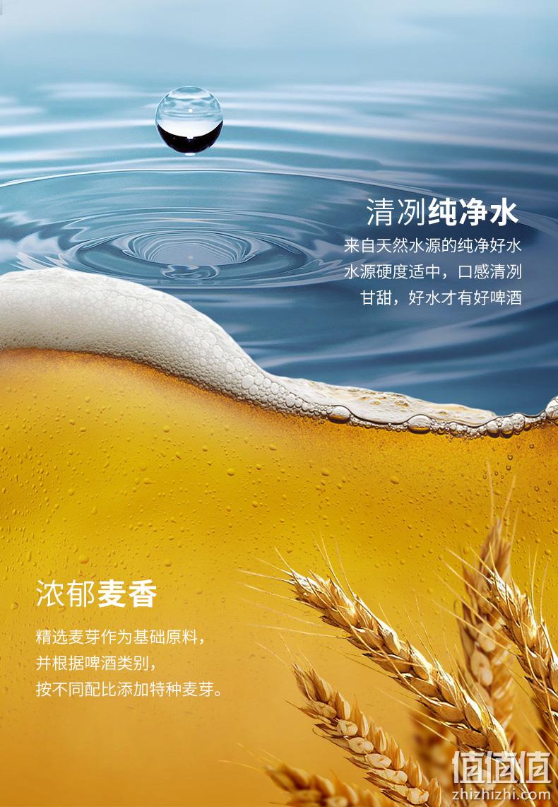 Russell Breweries 罗塞尔 精酿啤酒 330mlx6瓶 券后49元包邮赠霜艾尔啤酒330mlx6瓶 值值值-买手聚集的地方