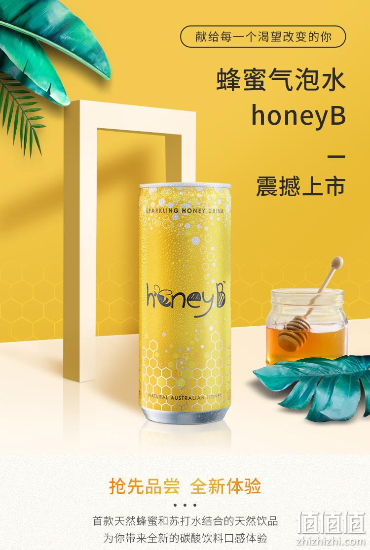 马来西亚进口 澳小蜜 蜂蜜味气泡水 250mlx6罐 19.9元包邮（京东11.4元/瓶） 值值值-买手聚集的地方