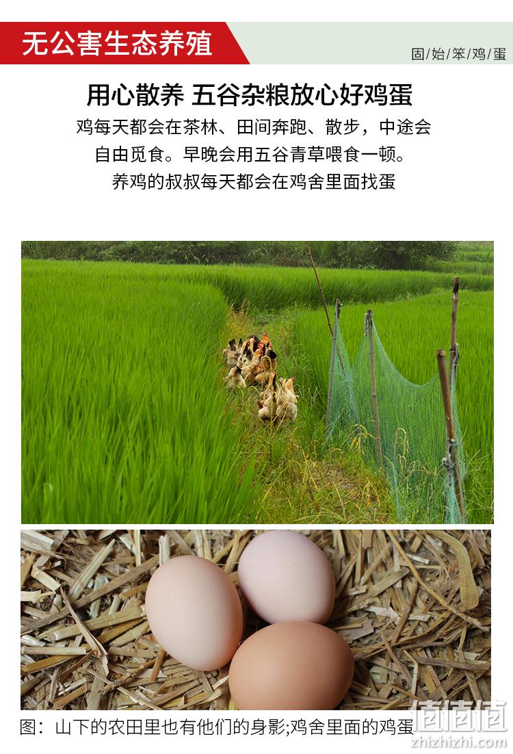 国家地理标志产品,颐升 新鲜鸡蛋固始笨鸡蛋40枚 券后29.9元包邮 值值值-买手聚集的地方