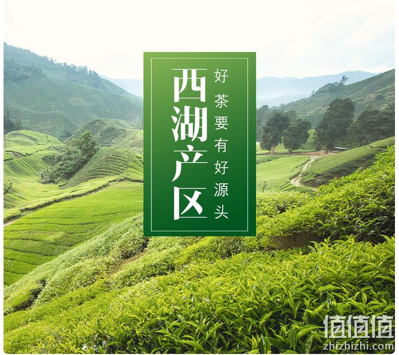 2020新茶 半斤 西湖龙井 雨前春茶 券后22.8元包邮 值值值-买手聚集的地方