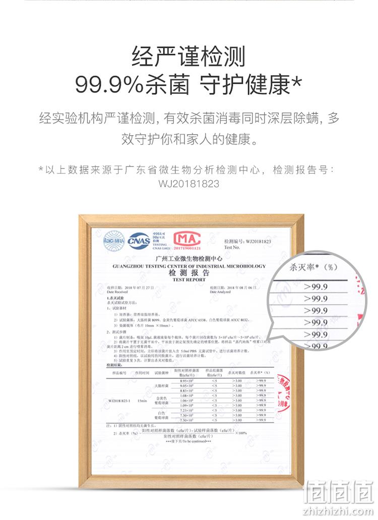 自增压喷射蒸汽 高温除菌 无残留：德尔玛 蒸汽拖把 199元包邮 值值值-买手聚集的地方