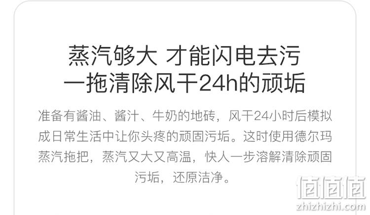 自增压喷射蒸汽 高温除菌 无残留：德尔玛 蒸汽拖把 199元包邮 值值值-买手聚集的地方