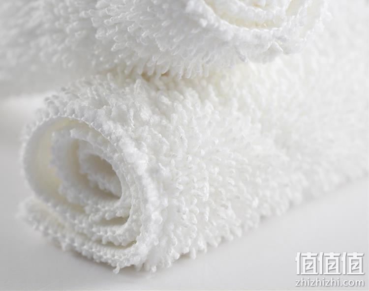 自增压喷射蒸汽 高温除菌 无残留：德尔玛 蒸汽拖把 199元包邮 值值值-买手聚集的地方