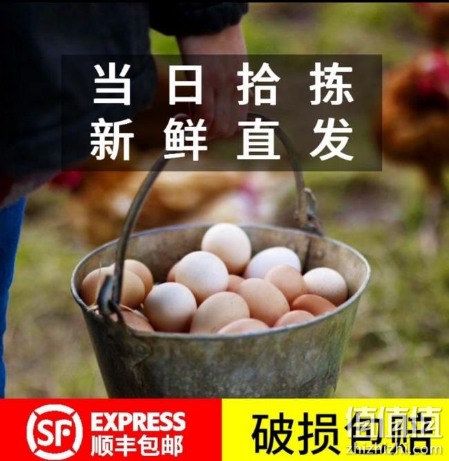 破损包赔、会飞上树鸡，新鲜土鸡蛋 30枚 31.99元包顺丰 值值值-买手聚集的地方