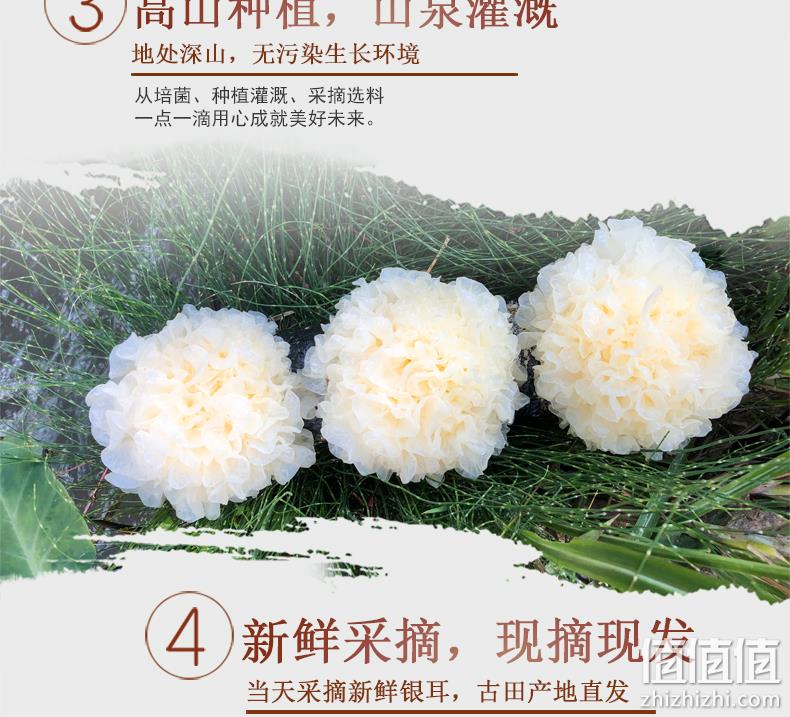 当天采摘:闽妃 新鲜银耳白木耳鲜活雪耳6盒 800g 券后22.8元包顺丰 值值值-买手聚集的地方