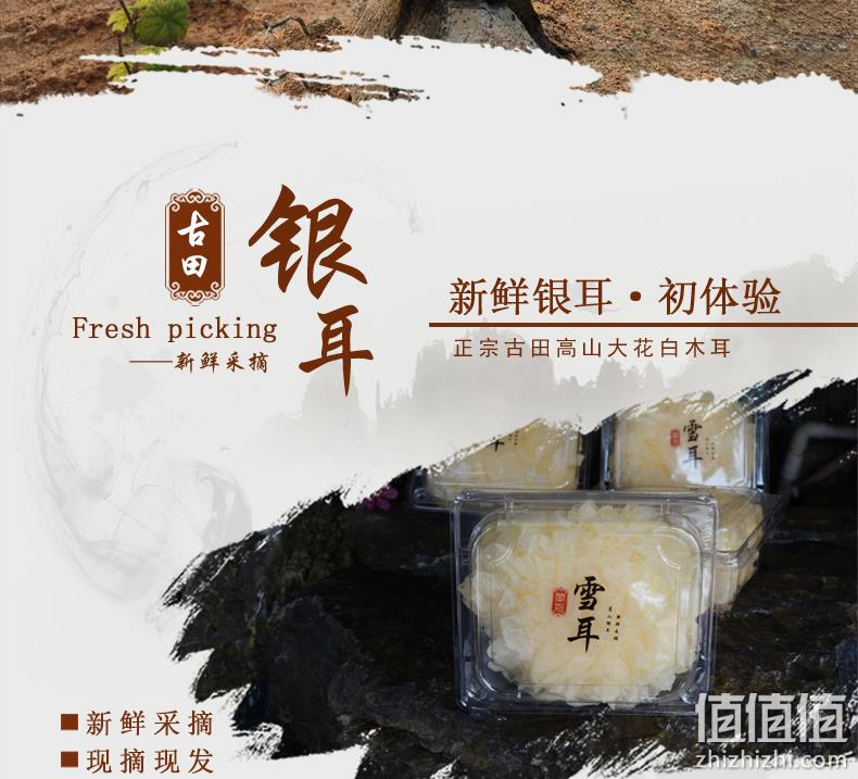 当天采摘:闽妃 新鲜银耳白木耳鲜活雪耳6盒 800g 券后22.8元包顺丰 值值值-买手聚集的地方