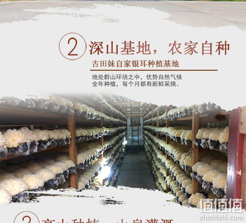 当天采摘:闽妃 新鲜银耳白木耳鲜活雪耳6盒 800g 券后22.8元包顺丰 值值值-买手聚集的地方
