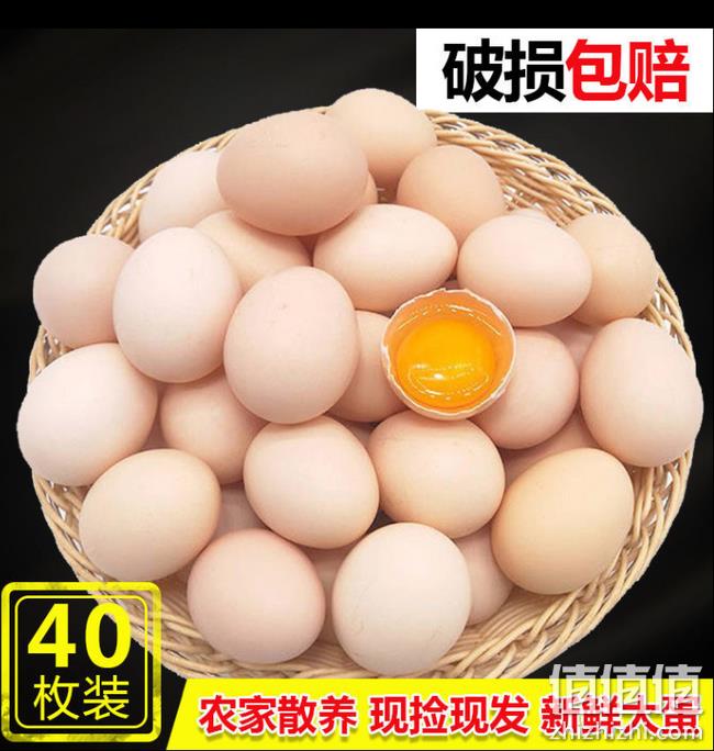 现捡现发 破损包赔 40枚，农家散养土鸡蛋 券后24.8元包邮 值值值-买手聚集的地方
