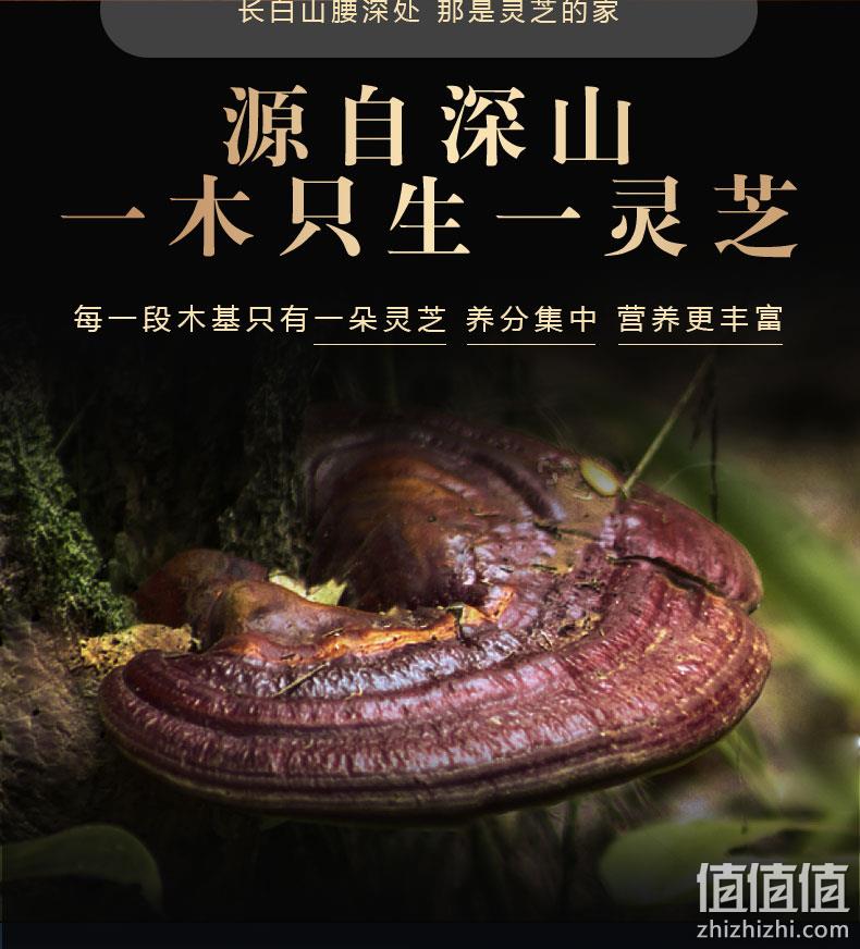 白菜价 百年老牌:德杏堂 长白山野生灵芝切片 25g 券后5.8元包邮 值值值-买手聚集的地方