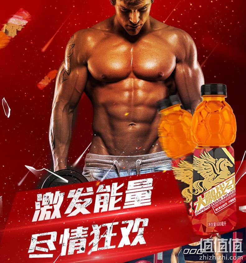 大鹏战马 维生素体质能量运动饮料 600mlx15瓶 29.9元包邮 值值值-买手聚集的地方