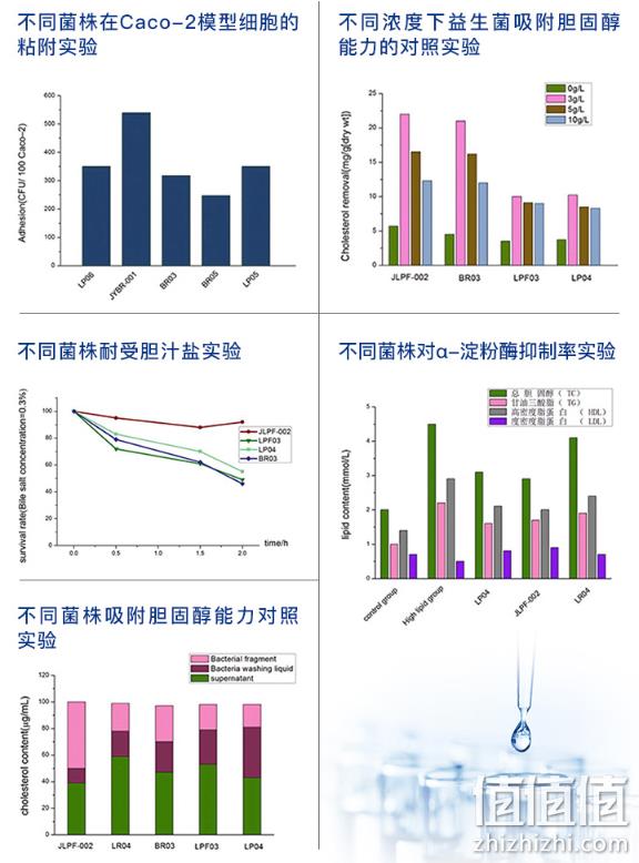 亲测有效 14种菌种：美国 PipingRock 朴诺 益生菌胶囊 60粒x2瓶 双重优惠后79元包邮 值值值-买手聚集的地方