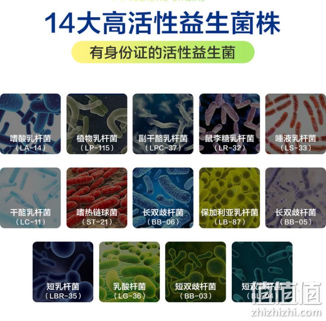 亲测有效 14种菌种：美国 PipingRock 朴诺 益生菌胶囊 60粒x2瓶 双重优惠后79元包邮 值值值-买手聚集的地方