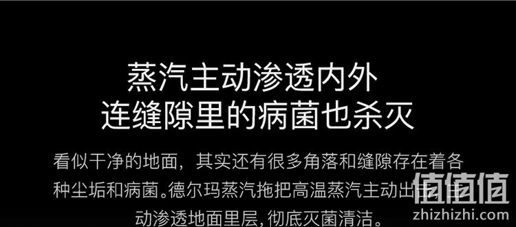 自增压喷射蒸汽 高温除菌 无残留:德尔玛 蒸汽拖把 199元包邮 值值值-买手聚集的地方