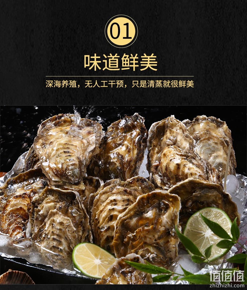 新低！4.9分高好评，国家地标产品：5斤 乳山 鲜活牡蛎 34.9元包邮（之前推荐39.9元） 值值值-买手聚集的地方