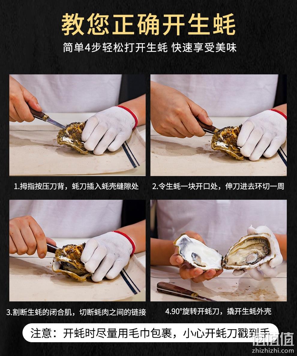 新低！4.9分高好评，国家地标产品：5斤 乳山 鲜活牡蛎 34.9元包邮（之前推荐39.9元） 值值值-买手聚集的地方