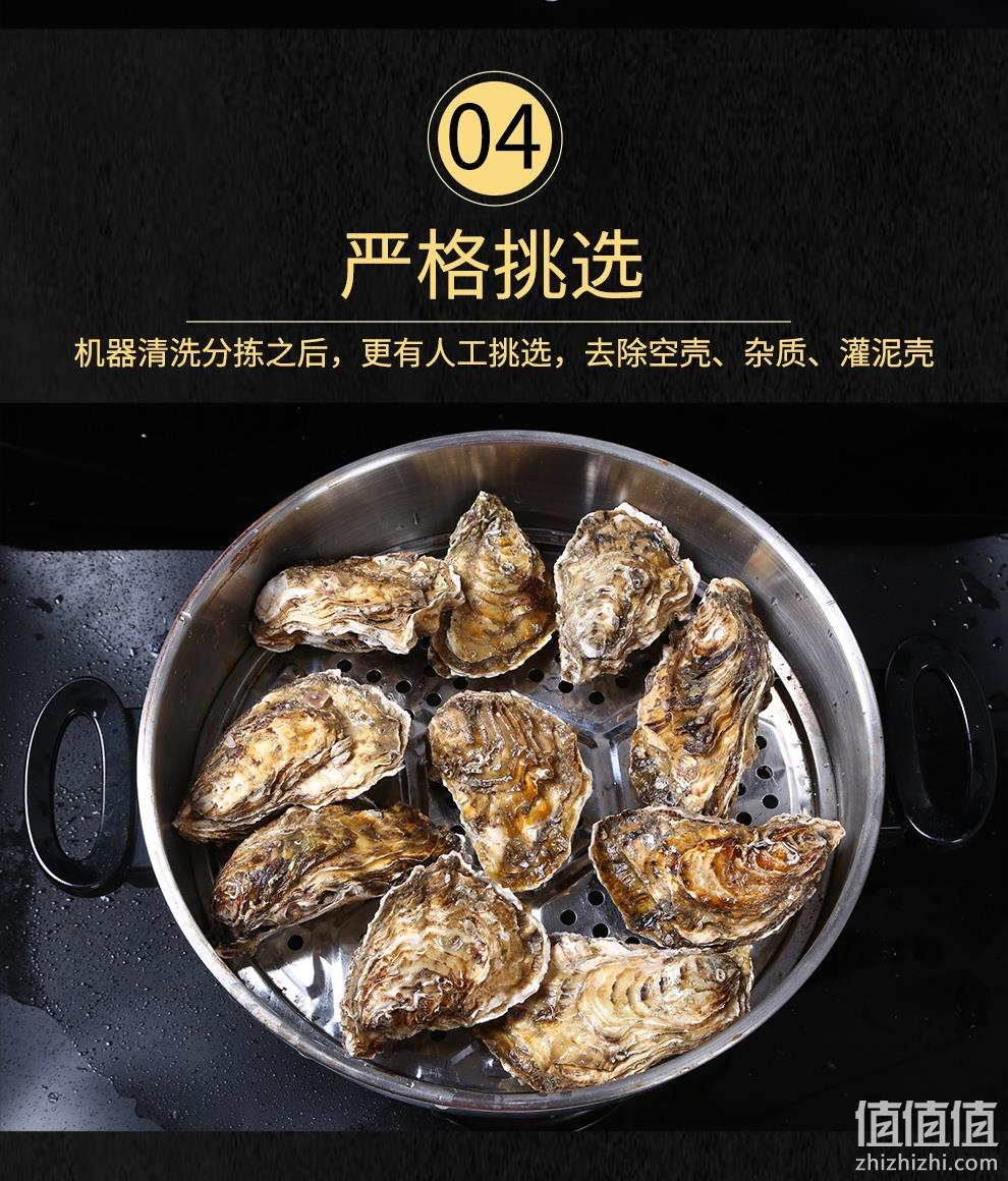 新低！4.9分高好评，国家地标产品：5斤 乳山 鲜活牡蛎 34.9元包邮（之前推荐39.9元） 值值值-买手聚集的地方