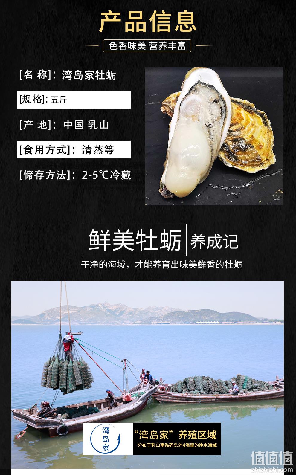 新低！4.9分高好评，国家地标产品：5斤 乳山 鲜活牡蛎 34.9元包邮（之前推荐39.9元） 值值值-买手聚集的地方